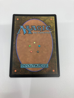 Ardenn, Intrepid Archaeologist (Foil) - 10 - Commander Legends - MTG - NM - Image 2