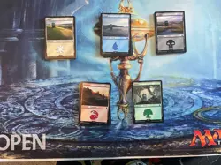 100 Magic the Gathering Basic Land Cards Lot - 20 of each type - MTG FTG - Image 1