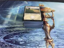 100 Magic the Gathering Basic Land Cards Lot - 20 of each type - MTG FTG - Image 2