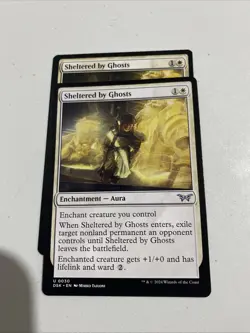 Sheltered by Ghosts Duskmourn: House of Horror Regular X1 - Image 1