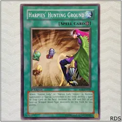 Harpies' Hunting Ground - RDS-EN038 - Common 1st Edition Yugioh - Image 1