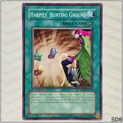 Harpies' Hunting Ground - SD8-EN024 - Common 1st Edition Yugioh - Image 1
