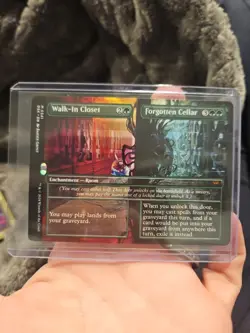 MTG Walk-In Closet /Forgotten Cellar (Borderless) Duskmourn: House of Horror 341 - Image 1