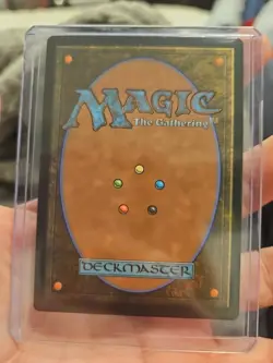 MTG Walk-In Closet /Forgotten Cellar (Borderless) Duskmourn: House of Horror 341 - Image 4