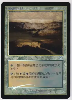 MTG Foil 1X Tainted Field X1 (FBB Chinese) Torment Magic - MP - Image 1