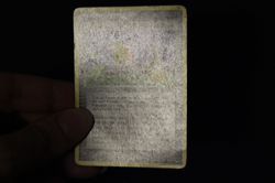 Pokemon Card MP Uncommon Pokemon Park 10/17 POP Series 2 Set - Image 2