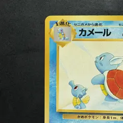 Pokemon Vintage Southern Islands Wartortle 15/18 Rare Japanese Promo - Image 3