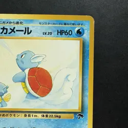 Pokemon Vintage Southern Islands Wartortle 15/18 Rare Japanese Promo - Image 4