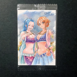 PREORDER Nami & Vivi No.7 Japanese One Piece Our Memories Wafer Card Sealed - Image 1