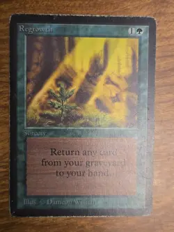 Regrowth Limited Edition - Beta Edition Regular - Image 1