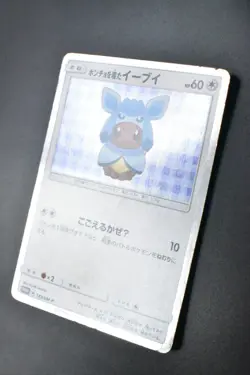 Poncho Wearing Eevee 143/SM-P Eevee Mega Campaign Promo 2017 Holo Pokemon Card - Image 4