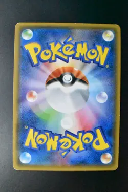 Poncho Wearing Eevee 143/SM-P Eevee Mega Campaign Promo 2017 Holo Pokemon Card - Image 5
