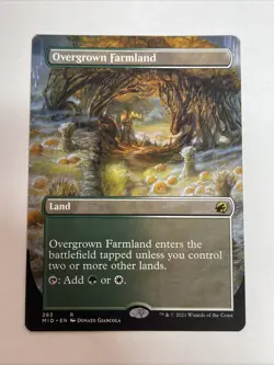 Overgrown Farmland (Borderless) Innistrad: Midnight Hunt #283 Rare - Image 1