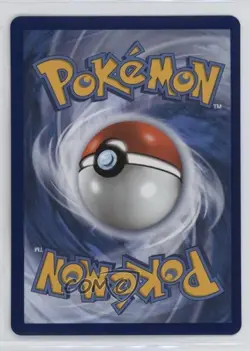 _____'s Pikachu (Wizards Black Star Promo) Pokemon Celebrations #24 - Image 2