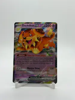 Dachsbun ex - 067/142 - Pokemon Stellar Crown Double Ultra Rare NM - Image 1