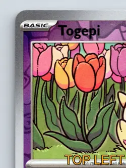 Basic Togepi HP 50 Whiny Voice Rolling Tackle Rarity Purple Card - Image 3