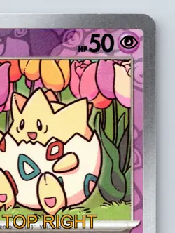 Basic Togepi HP 50 Whiny Voice Rolling Tackle Rarity Purple Card - Image 4
