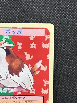 Pokemon Card Japanese Pidgey 016 Top sun Topsun 1995 Nintendo Blue Back - Image 3