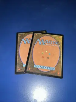 Pradesh Gypsie x2 - Sixth Edition (1999) #214/350 - MTG - LP - Image 2