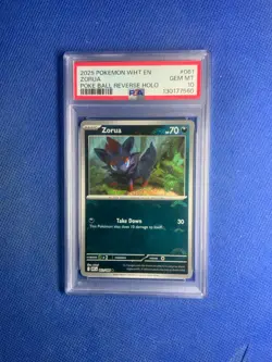 2025 Pokemon ZORUA 061/086 White Flare WHT EN Master Ball Reverse Holo PSA 10 - Image 1