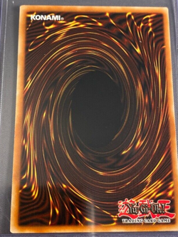 Yugioh! Sauropod Brachion - SR04-EN008 - Common - 1st Edition Near Mint, English - Image 2