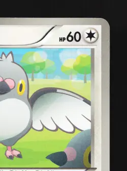 Pidove 046/052 Hail Blizzard NM 1st ED Japanese Pokemon Card TCG - Image 5