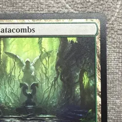 Verdant Catacombs - Secret Lair Series (SLU) #3 NM Non-Foil MTG - Image 4
