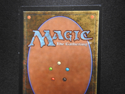 Serendib Djinn LP [Arabian Nights] Mtg Magic Free Tracking! - Image 5
