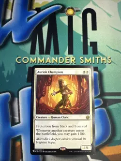 Auriok Champion 🔥 NonFOIL 🔥 MTG NM Secret Lair 20 Ways to Win The List (009) - Image 1
