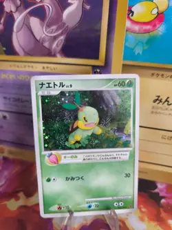 Pokemon Karte Card Holo Chelast Turtwig LV. 9 Play Promo DP japanese NM Swirl - Image 1