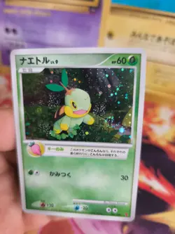 Pokemon Karte Card Holo Chelast Turtwig LV. 9 Play Promo DP japanese NM Swirl - Image 4