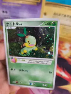 Pokemon Karte Card Holo Chelast Turtwig LV. 9 Play Promo DP japanese NM Swirl - Image 5