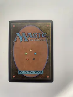 The Cabbage Merchant- MTG Avatar- Borderless- NM - Image 2