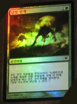 (Foil) [NM] MTG Korean, Innistrad, 1 x Moonmist - Image 1