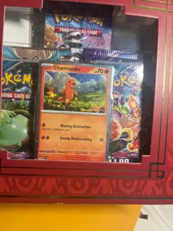 Pokemon TCG Charizard ex Super Premium Collection Box Sealed New - Image 3