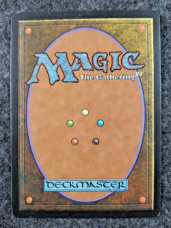 MTG Rune of Protection: Lands Magic the Gathering (39) Urza's Saga NM (DS3D1J8) - Image 2