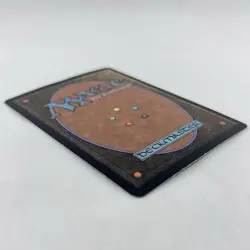 MTG Foil Forest Odyssey #349 Magic The Gathering TCG Card - Image 5