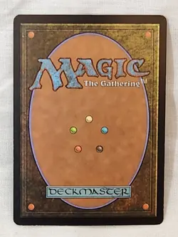 NM Forest #349 Foil Odyssey Mtg Magic the Gathering - Image 2