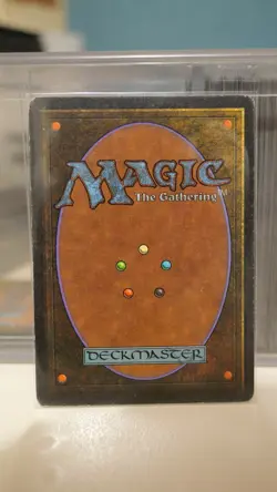 Savannah - Revised (3ED) 1994 - MTG Magic the Gathering - Rare DUAL LAND - Image 2