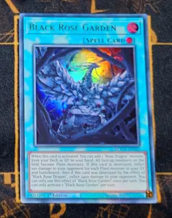 YUGIOH Black Rose Garden (DOOD-EN055) Ultra Rare 1st Edition Neat Mint - Image 1