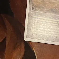 Scrubland X1 Mtg Revised Nm - Image 3