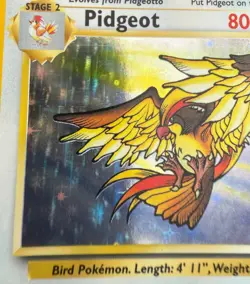 POKEMON TCG PIDGEOT 8/64 JUNGLE RARE HOLO VERY GOOD CONDITION NO PLAY - Image 4