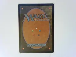 Snow-Covered Forest Coldsnap - Magic the Gathering MTG - Land - Image 2