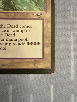 Lake of the Dead - Alliances - VINTAGE Magic The Gathering 1996!! - Image 5