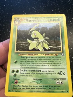 Carte Pokemon Wizards Neo Genesis Macronium 29/111 Francais Vf Fr - Image 3