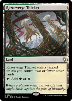 Razorverge Thicket - 325 - BLC Set- Near Mint - MTG - Image 1