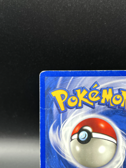 Pokemon Pikachu #60/64 Jungle | Mew #8 WoTC Black Star Promo Vintage Set - Image 5
