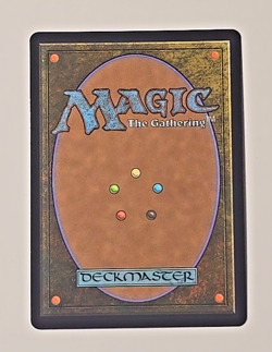 Magic The Gathering Final Fantasy Traveling Chocobo Borderless Chocobo Track - Image 3