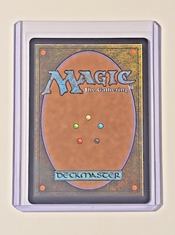 Magic The Gathering Final Fantasy Traveling Chocobo Borderless Chocobo Track - Image 5