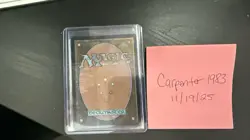 Magic the Gathering Lord of The Rings Tom Bombadil Borderless Poster Foil NM - Image 3